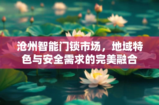 沧州智能门锁市场，地域特色与安全需求的完美融合