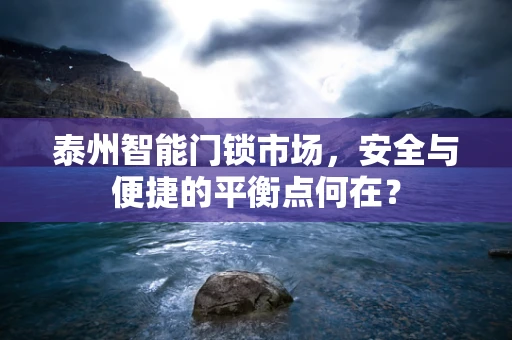 泰州智能门锁市场，安全与便捷的平衡点何在？