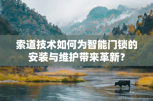 索道技术如何为智能门锁的安装与维护带来革新？