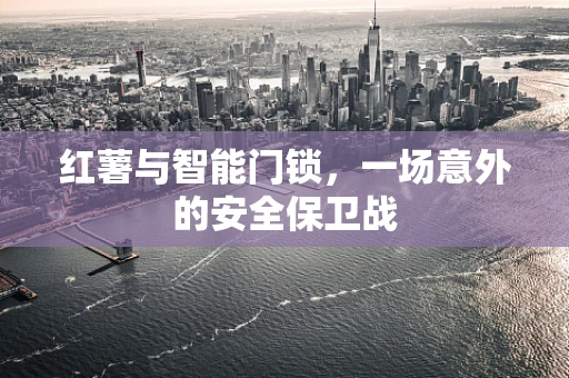 红薯与智能门锁，一场意外的安全保卫战