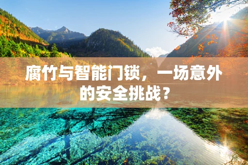 腐竹与智能门锁，一场意外的安全挑战？