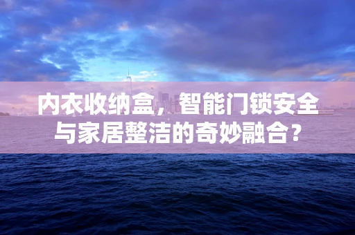 内衣收纳盒，智能门锁安全与家居整洁的奇妙融合？