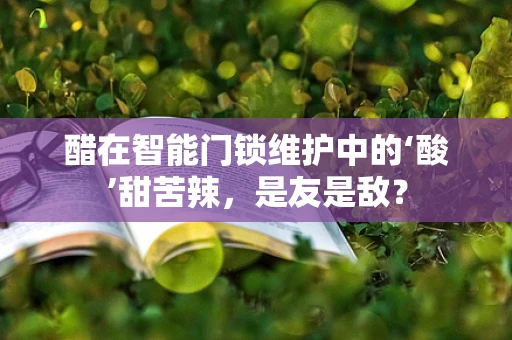 醋在智能门锁维护中的‘酸’甜苦辣，是友是敌？
