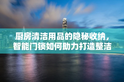 厨房清洁用品的隐秘收纳，智能门锁如何助力打造整洁空间？