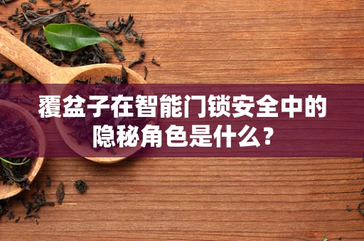 覆盆子在智能门锁安全中的隐秘角色是什么？