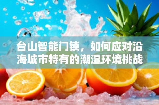 台山智能门锁，如何应对沿海城市特有的潮湿环境挑战？