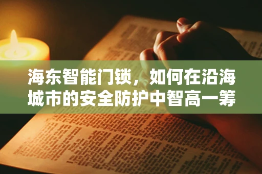 海东智能门锁，如何在沿海城市的安全防护中智高一筹？