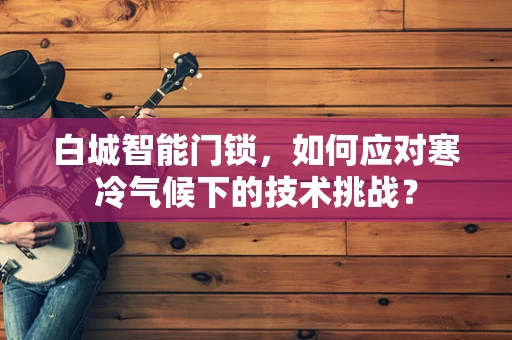 白城智能门锁，如何应对寒冷气候下的技术挑战？