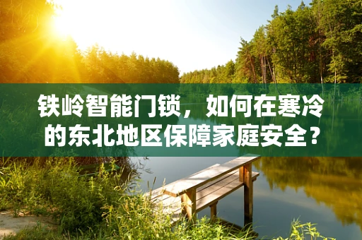 铁岭智能门锁，如何在寒冷的东北地区保障家庭安全？