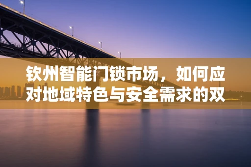 钦州智能门锁市场，如何应对地域特色与安全需求的双重挑战？