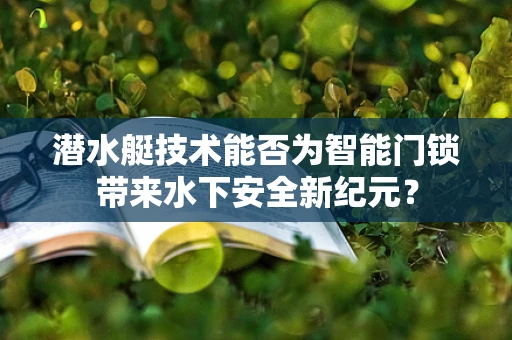潜水艇技术能否为智能门锁带来水下安全新纪元？