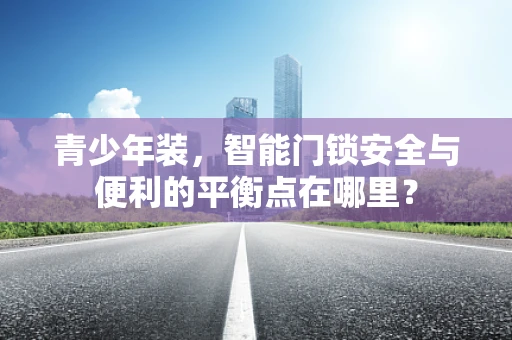 青少年装，智能门锁安全与便利的平衡点在哪里？