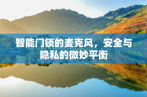智能门锁的麦克风，安全与隐私的微妙平衡