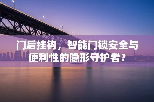 门后挂钩，智能门锁安全与便利性的隐形守护者？