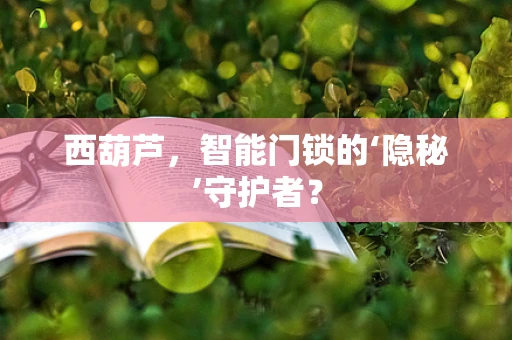 西葫芦，智能门锁的‘隐秘’守护者？