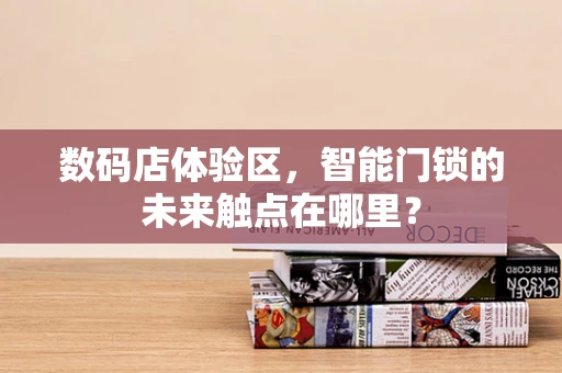 数码店体验区，智能门锁的未来触点在哪里？