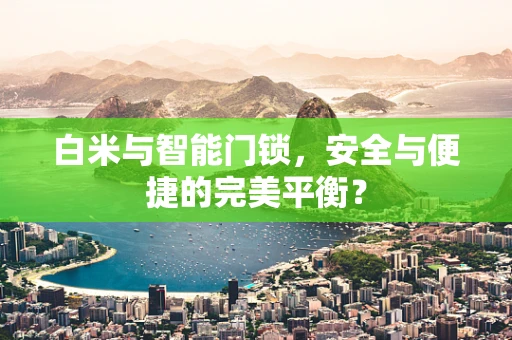 白米与智能门锁，安全与便捷的完美平衡？