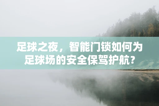 足球之夜，智能门锁如何为足球场的安全保驾护航？
