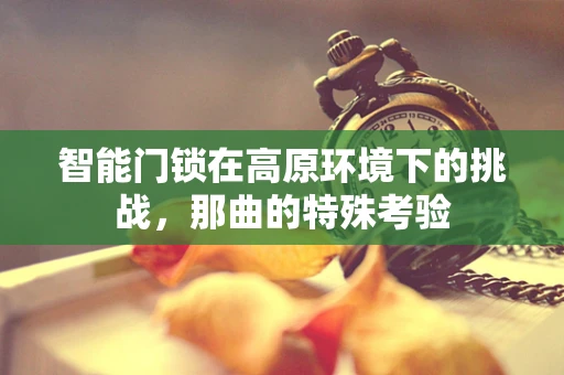智能门锁在高原环境下的挑战，那曲的特殊考验
