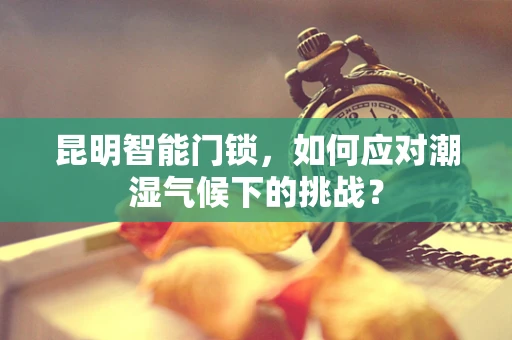 昆明智能门锁，如何应对潮湿气候下的挑战？