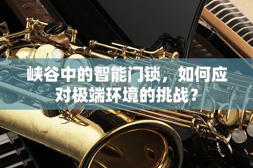 峡谷中的智能门锁，如何应对极端环境的挑战？